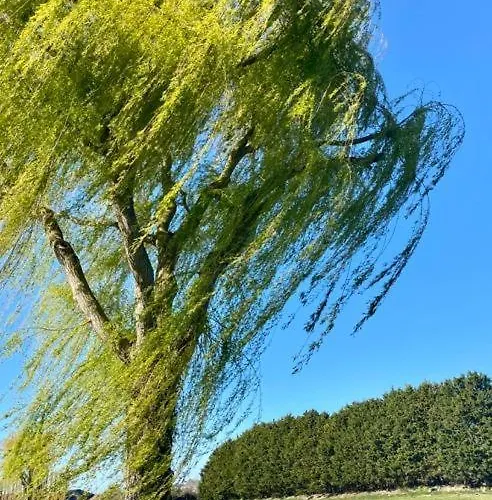 度假居 Maison De Pecheur 滨海图维列