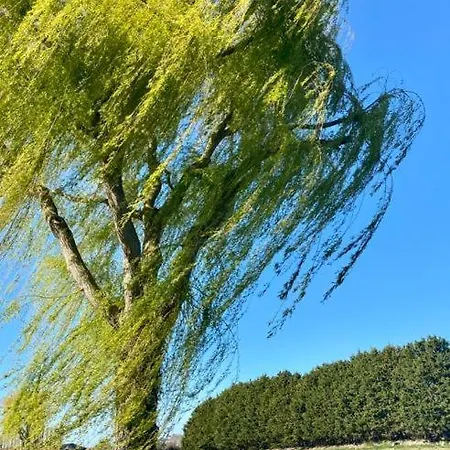 Casa de Férias Maison De Pecheur Trouville-sur-Mer